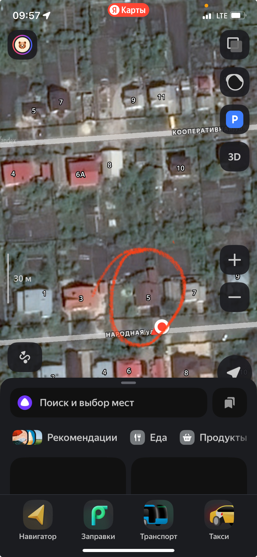 Эпилепсия